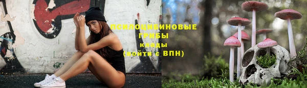 синтетический гашиш Алексин