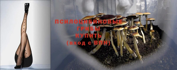 apvp Алзамай