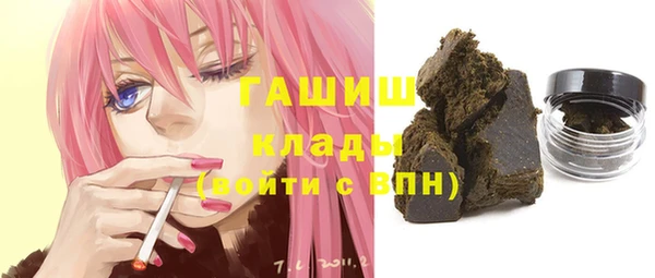 apvp Алзамай