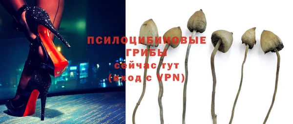 скорость Абаза