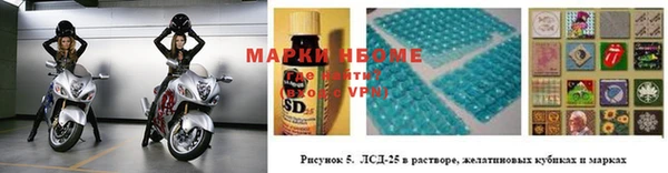 гидра Алексеевка