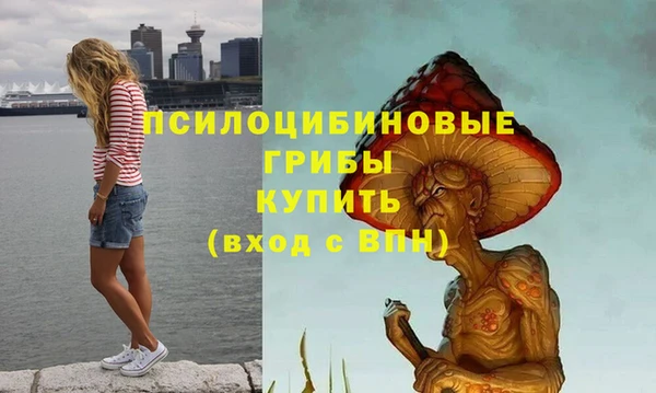 гидра Алексеевка