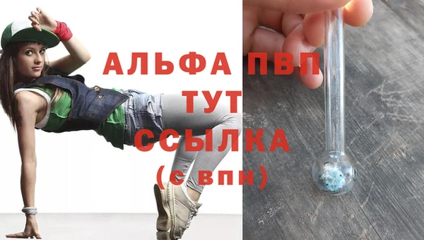 apvp Алзамай