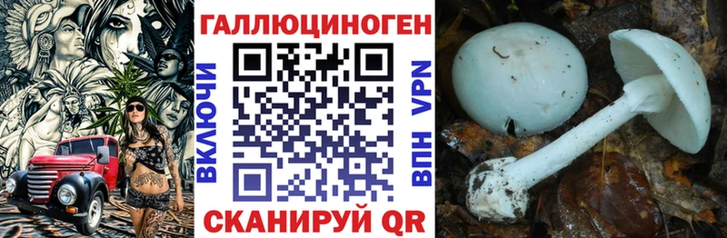 Галлюциногенные грибы мицелий  купить закладку  Ладушкин 