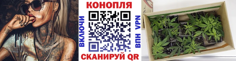 наркота  Ладушкин  Шишки марихуана ГИДРОПОН 
